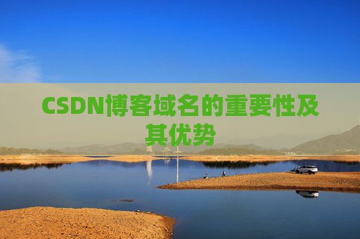 CSDN博客域名的重要性及其优势